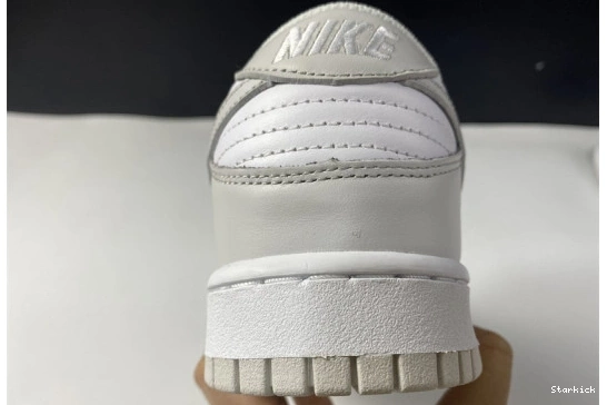 Dunk DD1503-103 "Photon Low Nike Dust" 1022